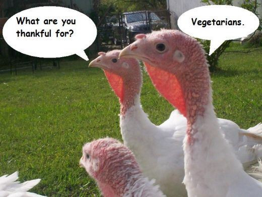 Thanksgiving Turkey Funny
 Funny Thanksgiving Ve arian Way 2