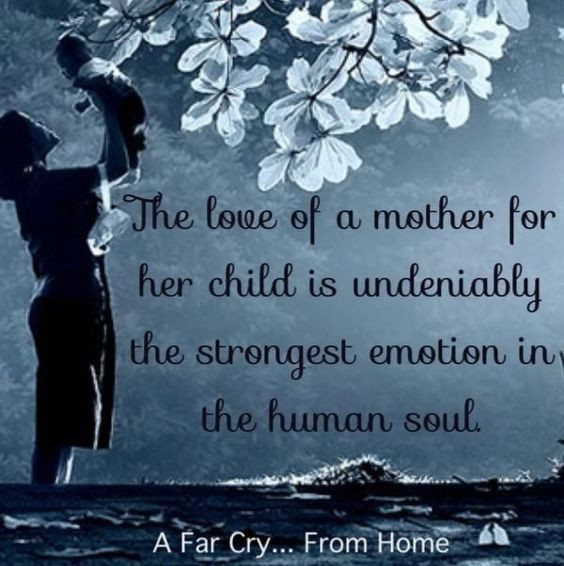 The Love Of A Mother Quotes
 "The Love of a Mother for Her Child is Undeniably the