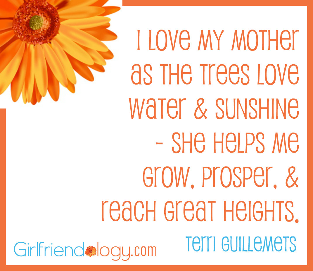 To My Mother Quotes
 I Love My Mother Quotes QuotesGram