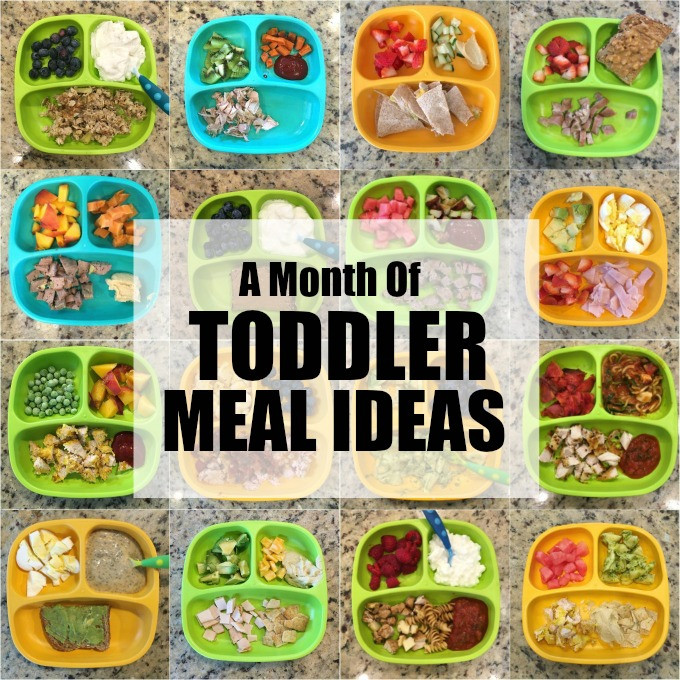 Toddler Dinner Ideas
 Easy Toddler Meal Ideas August