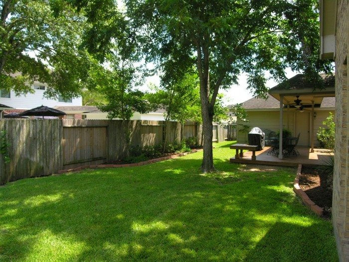 Trees To Plant In Backyard
 Shade Trees For The Backyards