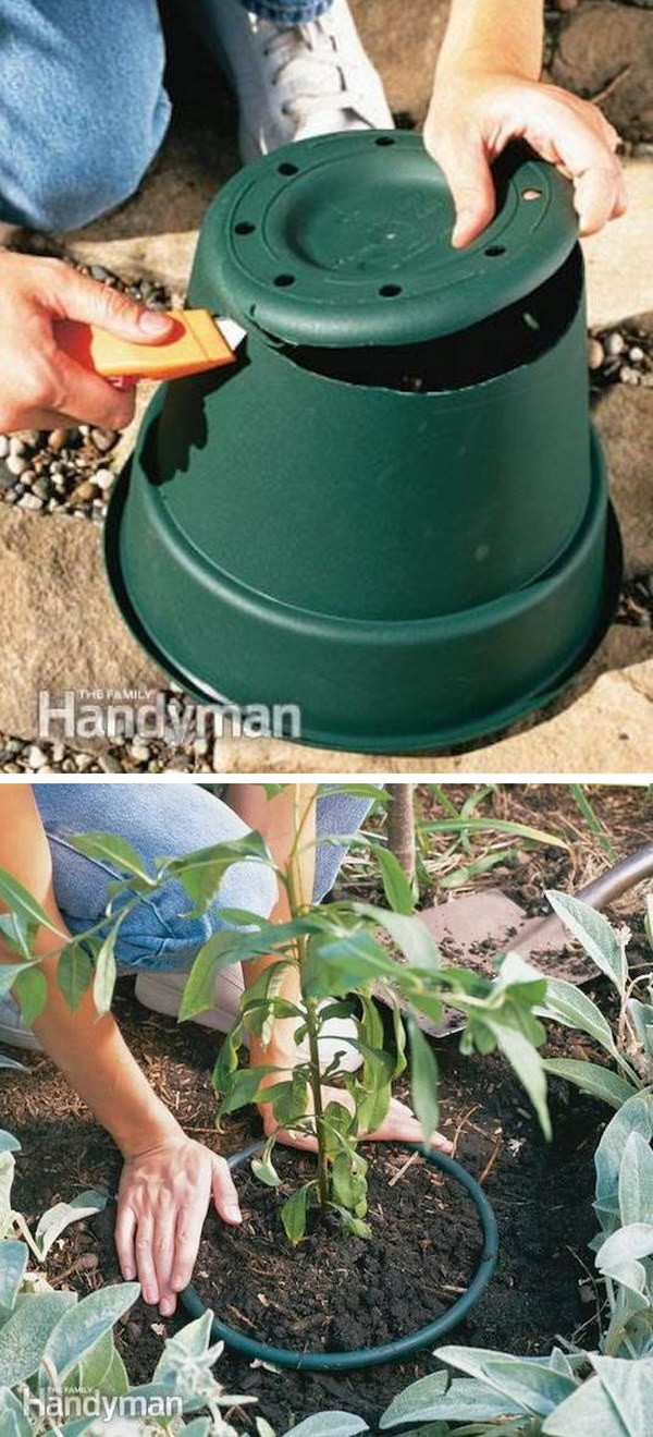 Trees To Plant In Backyard
 35 Creative Garden Hacks & Tips That Every Gardener