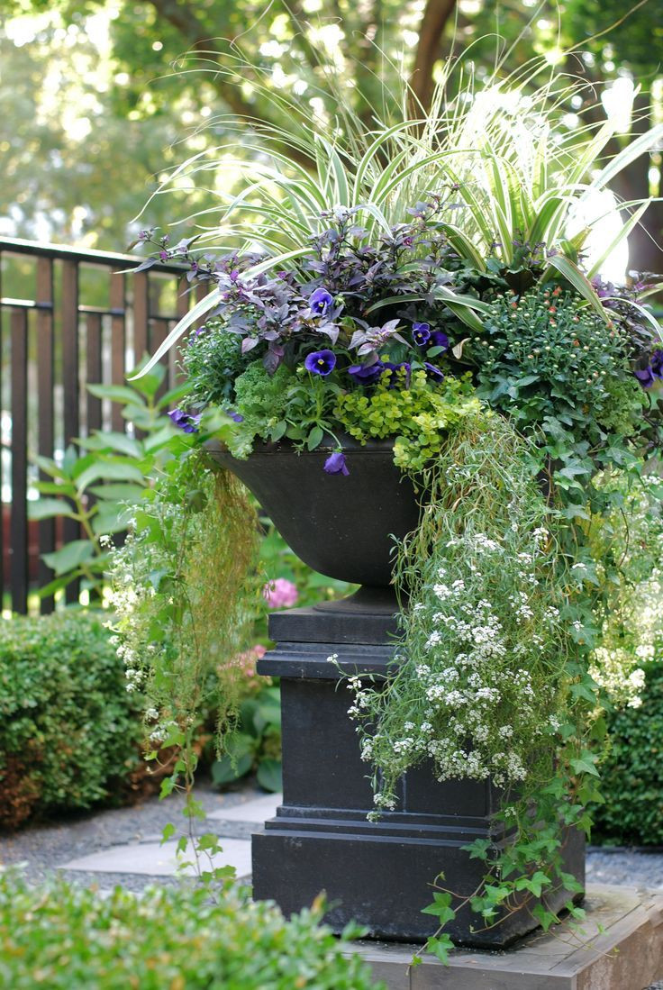 Trees To Plant In Backyard
 outdoor planter container urn design Google Search