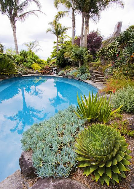 Trees To Plant In Backyard
 Lush cacti & succulents by the poolside