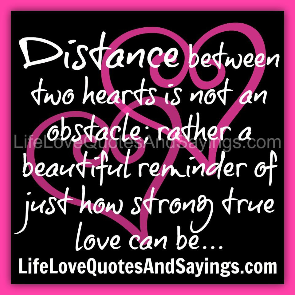 True Love Is Quotes
 Love Quotes