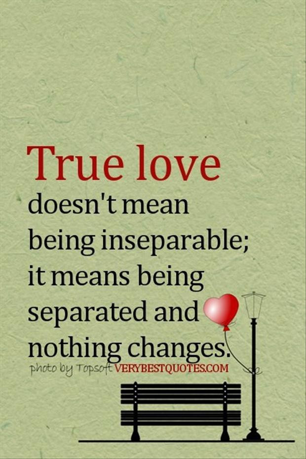 True Love Is Quotes
 Day 286 2014