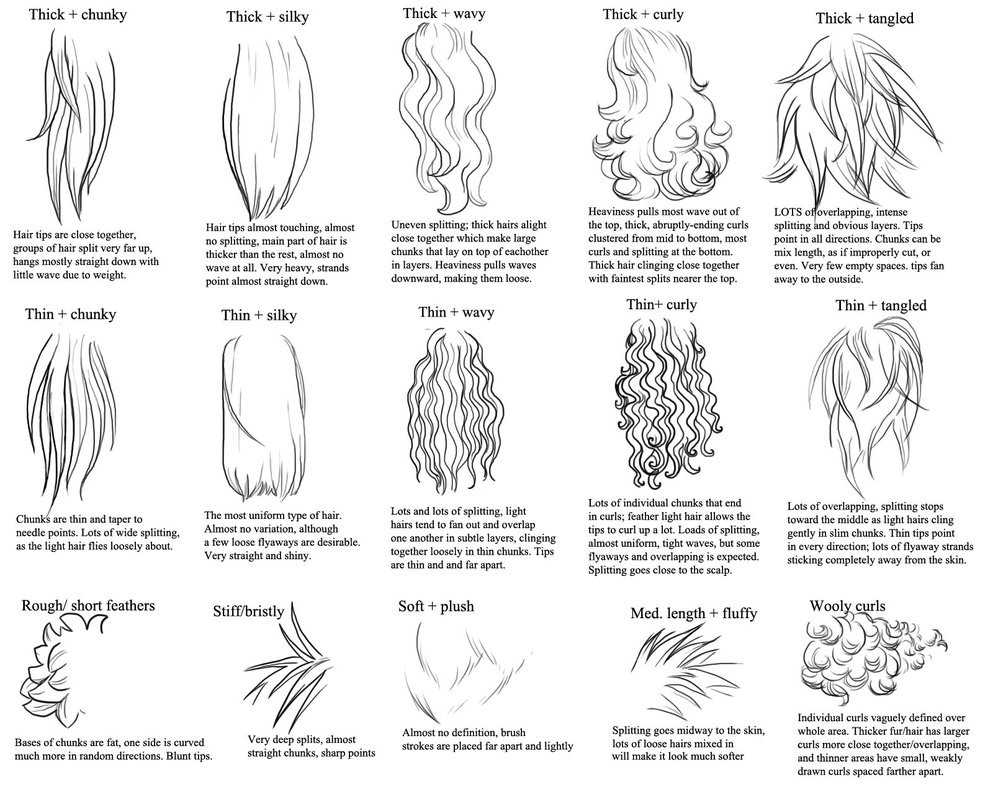 Types Of Anime Hairstyles
 Tips for drawing different hair and fur types by