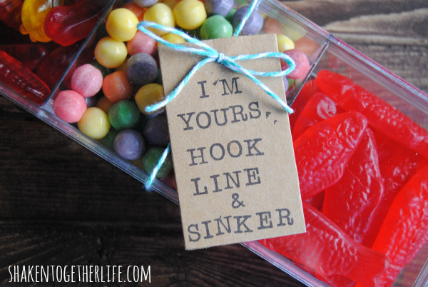 Valentine Candy Gift Ideas
 30 MORE Last Minute DIY Valentine s Day Gift Ideas for Him
