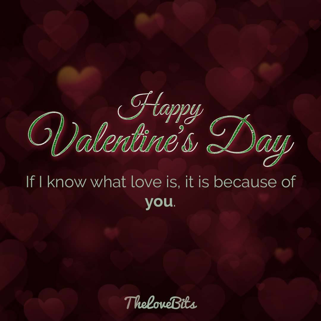 Valentines Day Quotes For Him
 50 Valentine s Day Quotes for Your Loved es TheLoveBits
