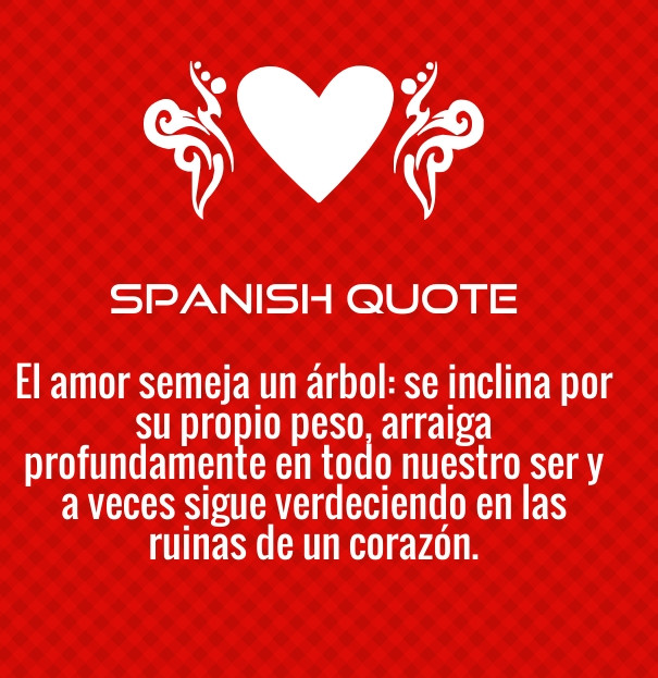 Valentines Day Quotes In Spanish
 Love Quotes For Him In Spanish With English Translation