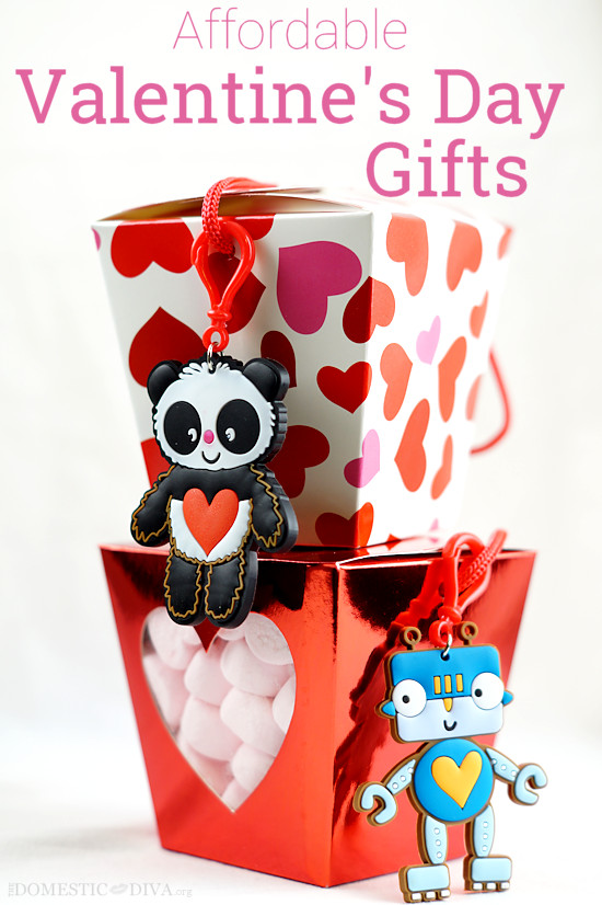 Valentines Gift Ideas For Guys
 Affordable Valentine s Day Gift Ideas for Guys