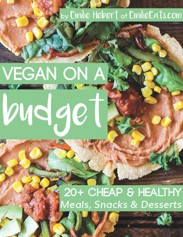 Vegetarian Recipes On A Budget
 Vegan on a Bud eBook