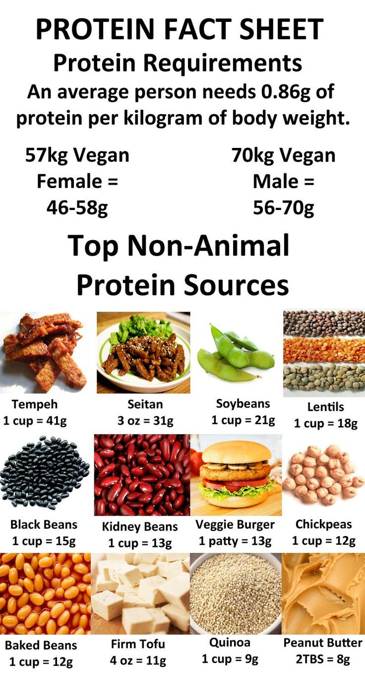 Vegetarian Sources Of Protein
 The Best Protein Powder