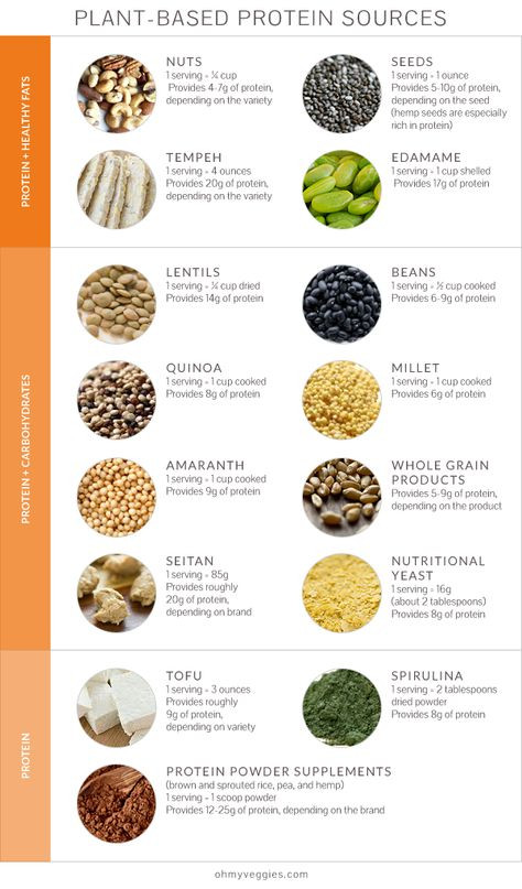 Vegetarian Sources Of Protein
 Top 10 Alkaline Diet Questions Answered Live Energized