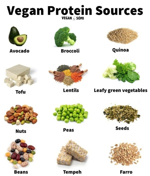 Vegetarian Sources Of Protein
 What are some mon misconceptions about ve arianism