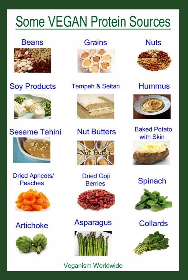 Vegetarian Sources Of Protein
 21 best Staple Vegan Protien images on Pinterest