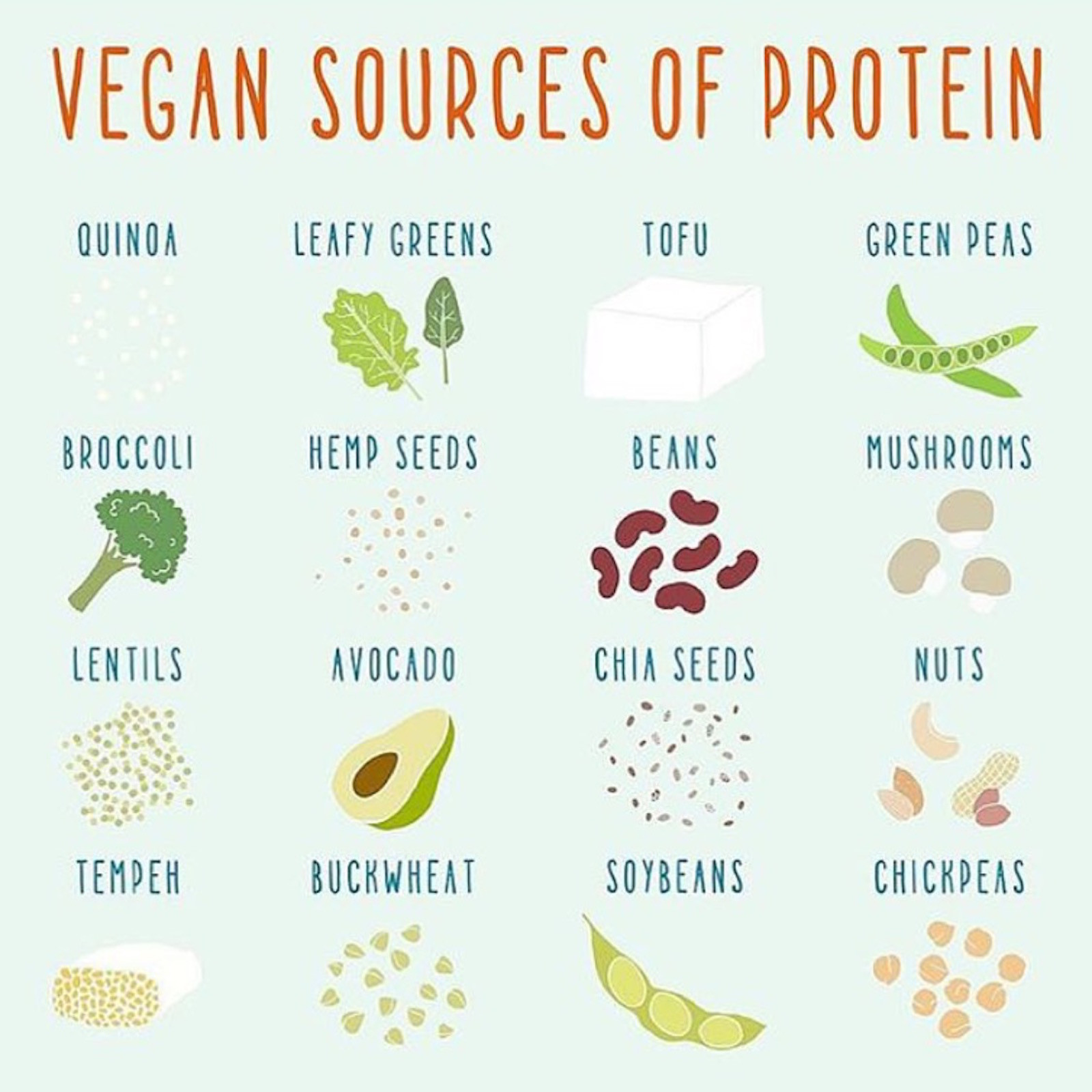 Vegetarian Sources Of Protein
 Protein on a low FODMAP Vegan Diet