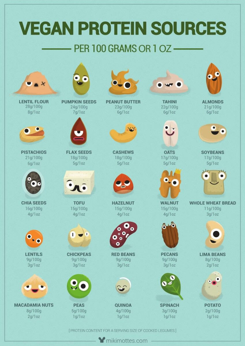 Vegetarian Sources Of Protein
 Vegan protein sources Infographics