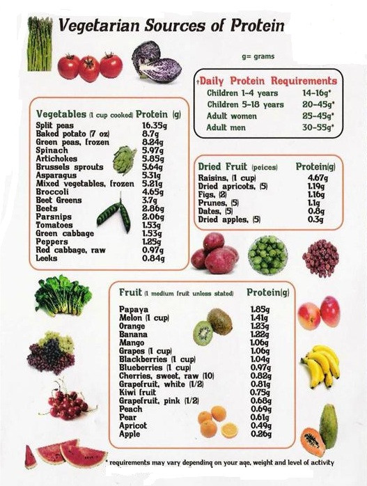 Vegetarian Sources Of Protein
 Diet
