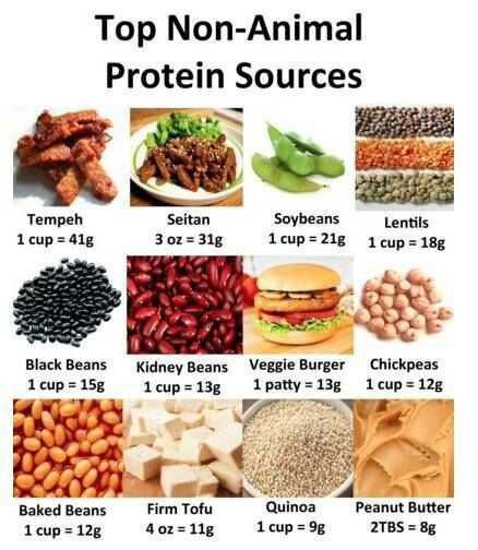 Vegetarian Sources Of Protein
 The Best Protein Powder