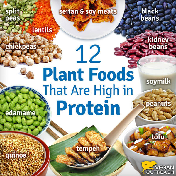 Vegetarian Sources Of Protein
 How To Be e A Vegan The Ultimate Guide to Plant Based