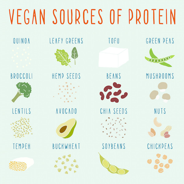 Vegetarian Sources Of Protein
 Vegan Challenge Day 5 Nutritional Awareness