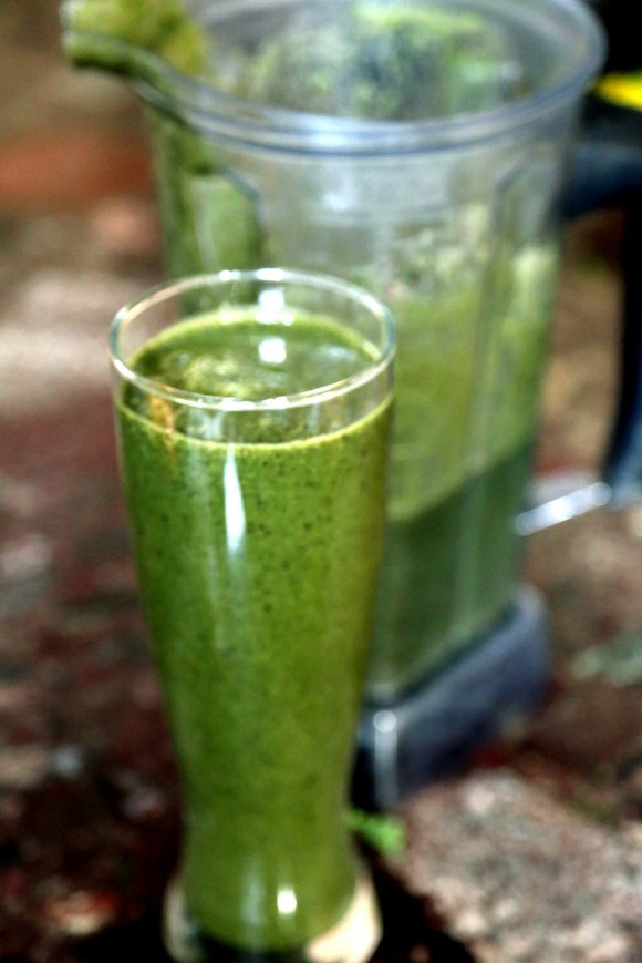 Vitamix Recipes Smoothie
 In 2013 Reset Your Health With Green Drinks