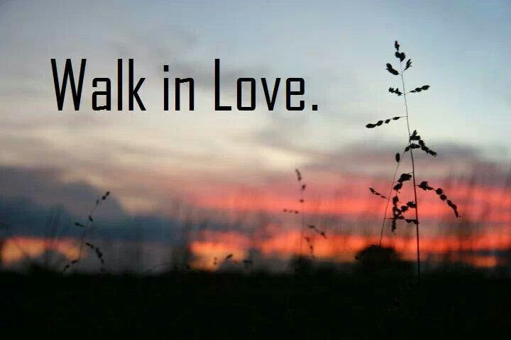Walking Love Quotes
 Walking In Love Quotes QuotesGram