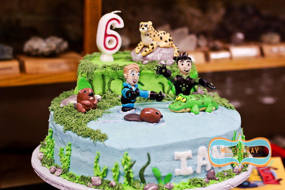 Wild Kratts Birthday Cake
 Custom Cakes by Julie Wild Kratts Cake