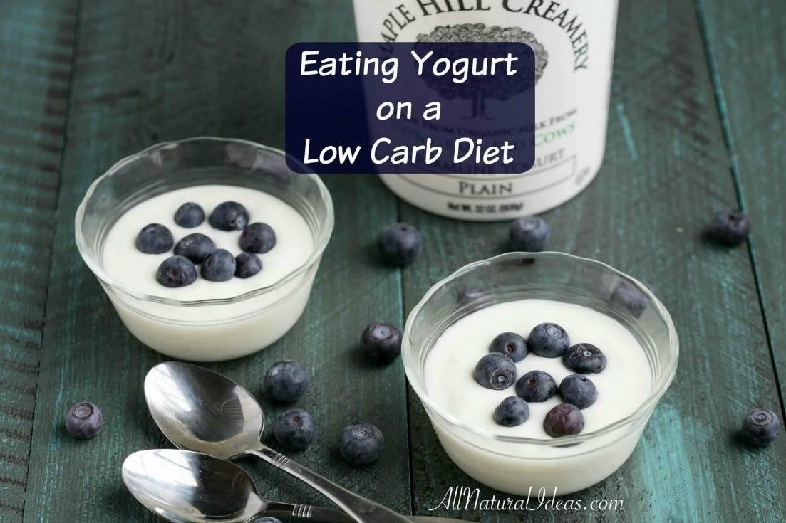Yogurt On Keto Diet
 Low Carb Yogurt Options for a Keto Diet