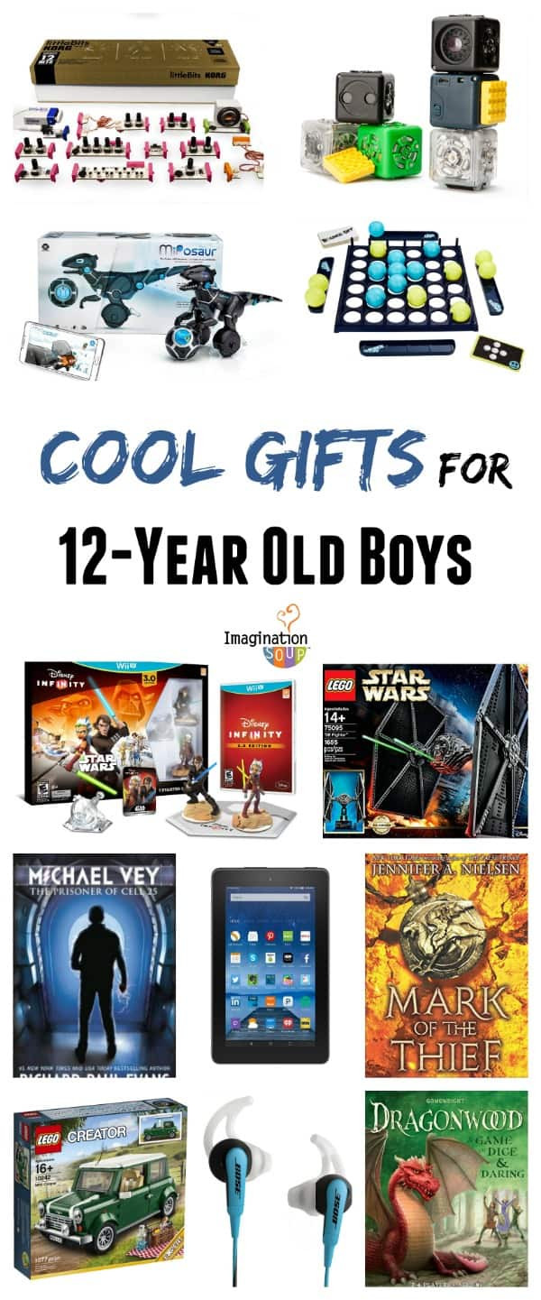 12 Year Old Boy Birthday Gift Ideas
 Gifts for 12 Year Old Boys