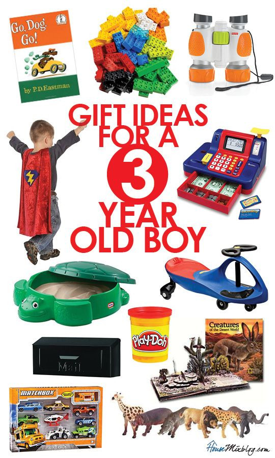 3 Year Old Birthday Gift Ideas
 Gift ideas for 3 year old boys