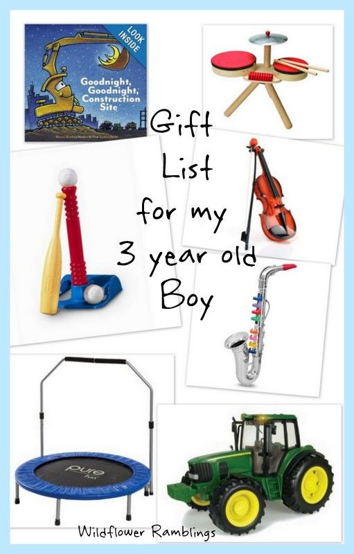 3 Year Old Birthday Gift Ideas
 t ideas for my 3 year old boy