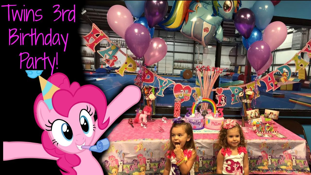 3Rd Birthday Party Ideas For Girl
 Twin Girls 3rd Birthday Party