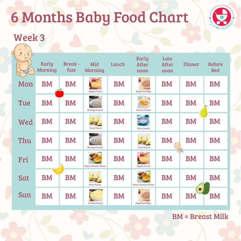 6 Month Baby Food Recipes
 6 Months Baby Food Chart with Indian Recipes