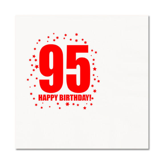 95Th Birthday Gift Ideas
 Happy 95th Birthday Age 95 Party Supplies LUNCHEON LUNCH