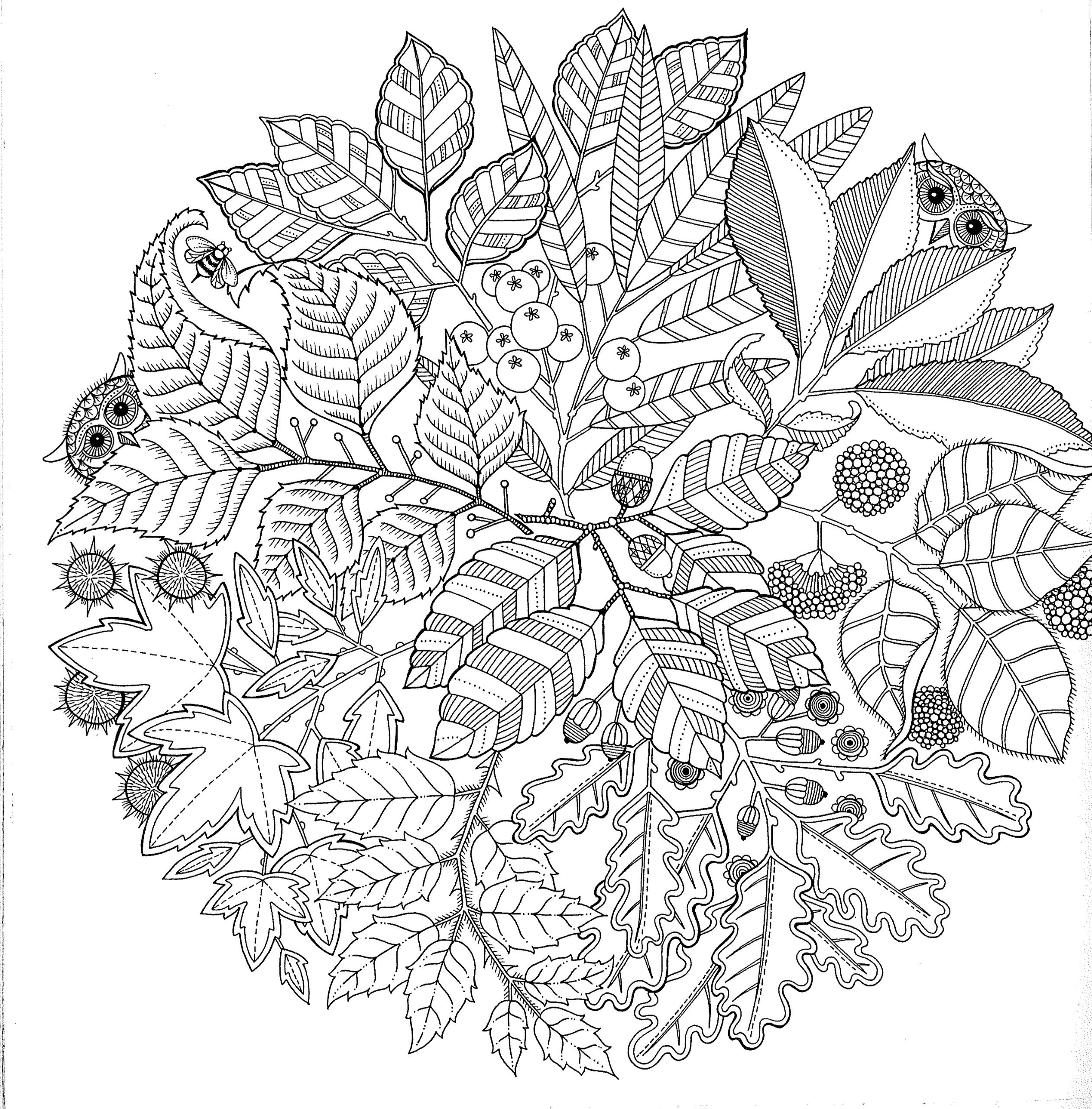 Adult Coloring Book
 Free Printable Abstract Coloring Pages for Adults