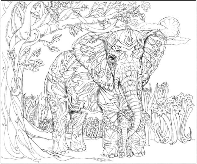 Adult Coloring Book Elephant
 Coloring Pages Elephants on Pinterest