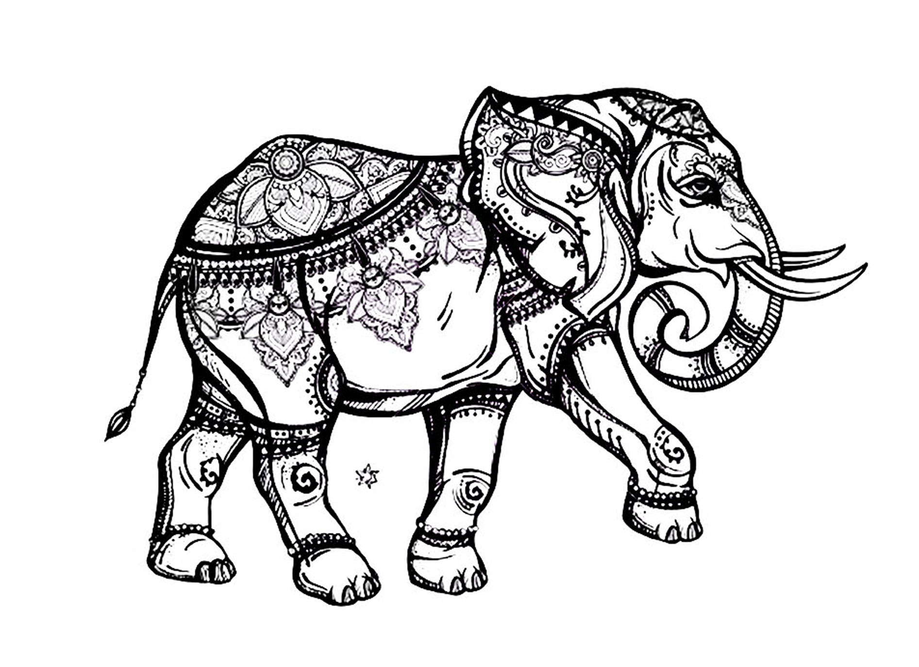 Adult Coloring Book Elephant
 Elegant elephant Elephants Adult Coloring Pages