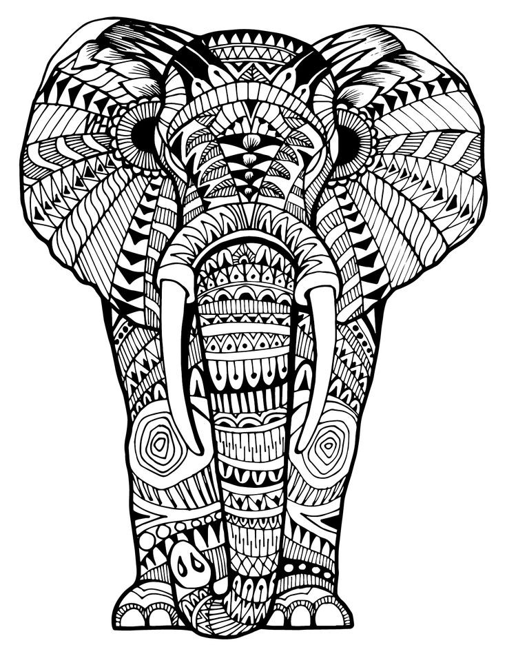 Adult Coloring Book Elephant
 Intricate Elephant Coloring Pages at GetColorings