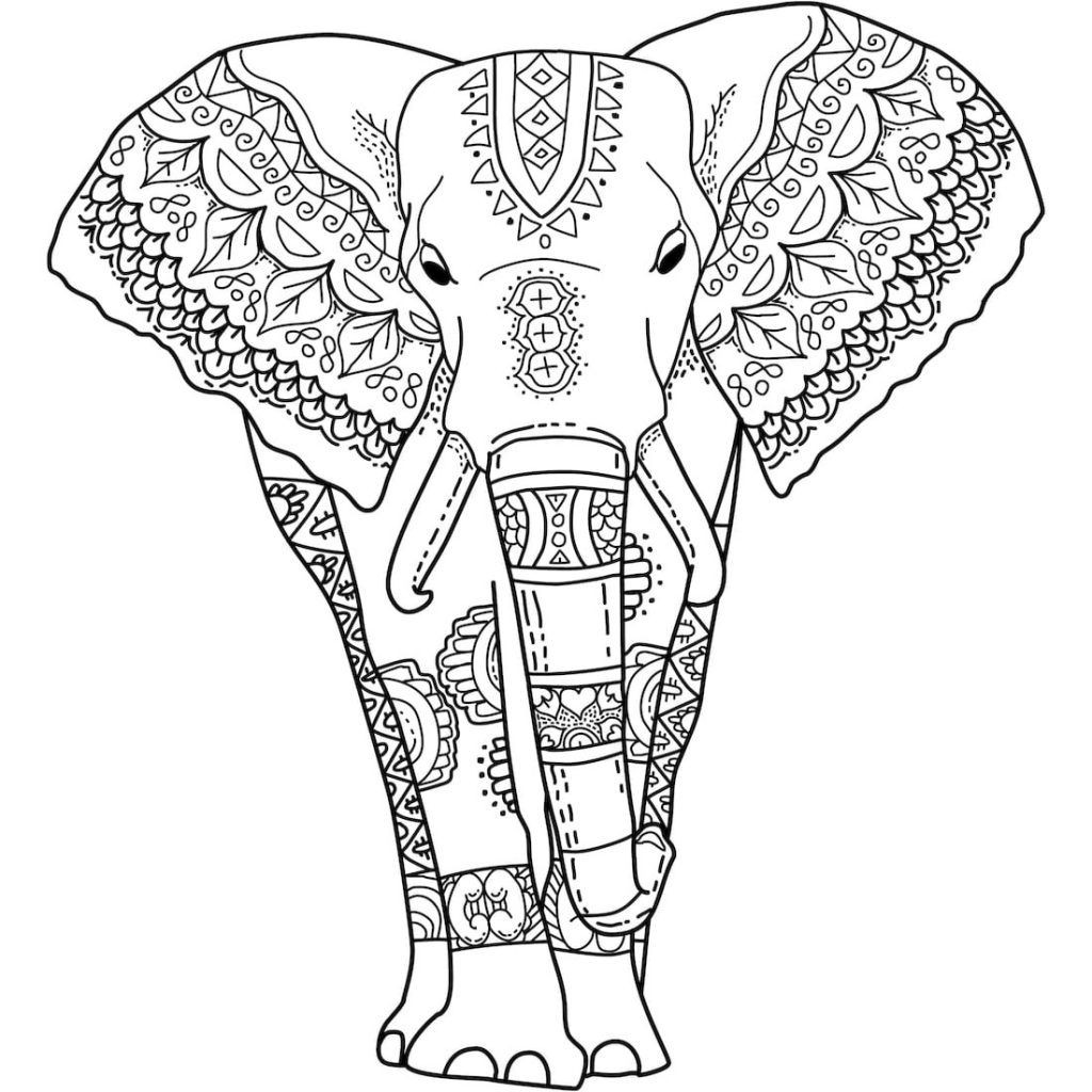 Adult Coloring Book Elephant
 Elephant Coloring Pages for Adults