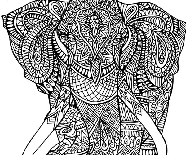 Adult Coloring Book Elephant
 Express Yourself 11 Free Adult Coloring Pages thegoodstuff
