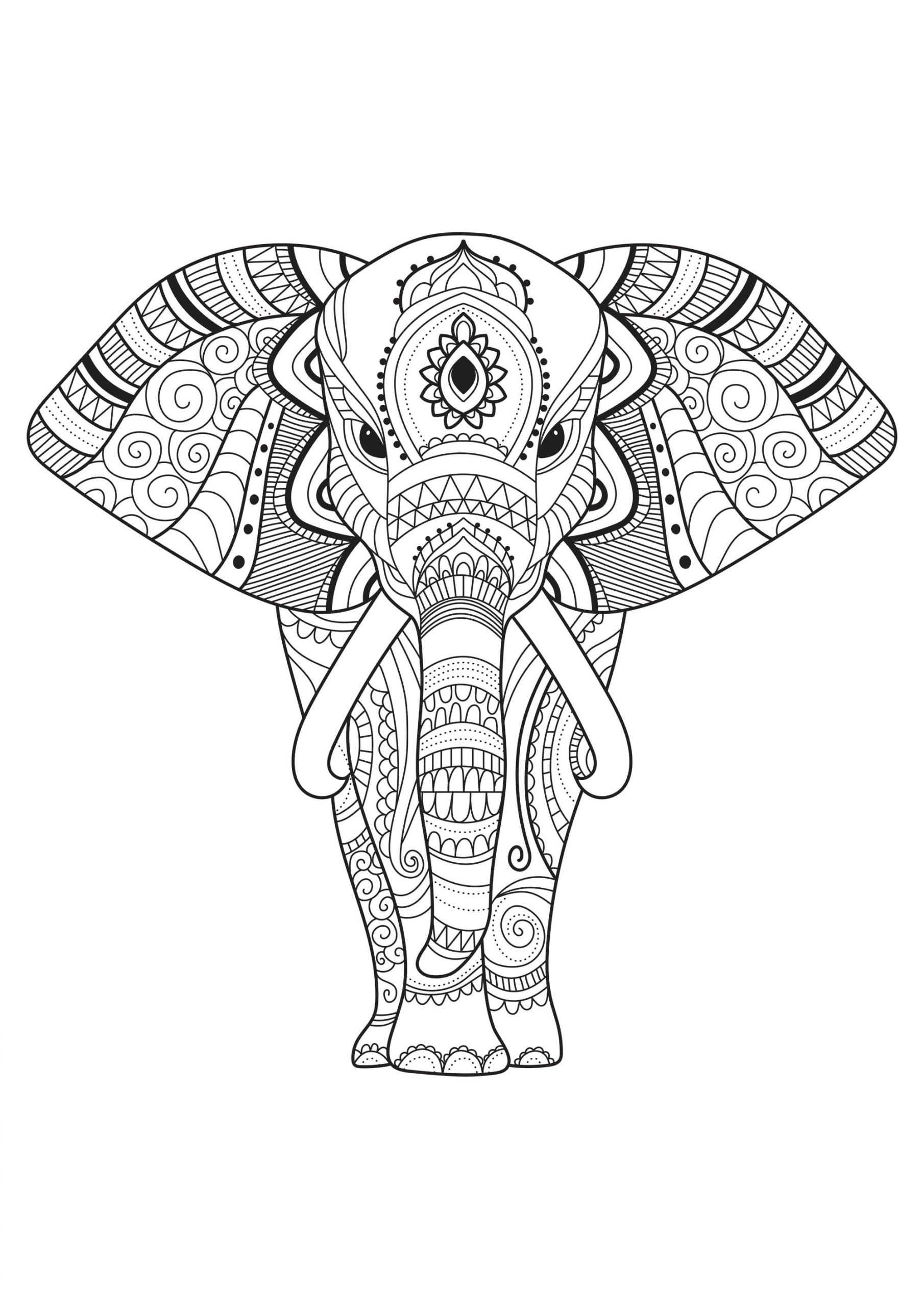 Adult Coloring Book Elephant
 Elephant with simple patterns Elephants Adult Coloring Pages