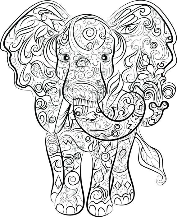 Adult Coloring Book Elephant
 Elephant Drawing Instant to print and colour