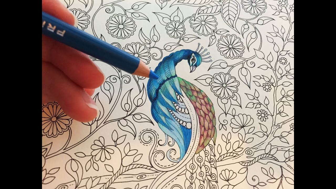 Adult Coloring Book Pencils
 Peacock Part 1 3