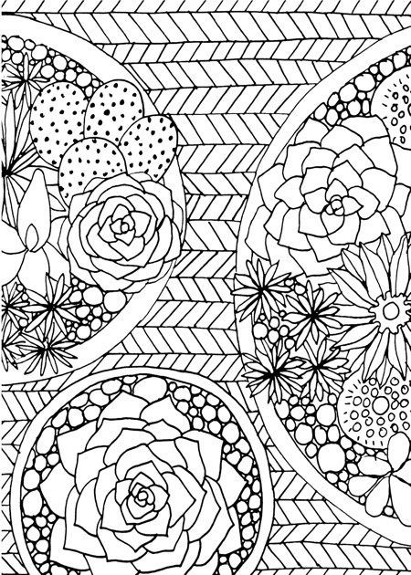 Adult Coloring Book Pictures
 13 Best Succulent & Cactus Coloring Books & Pages