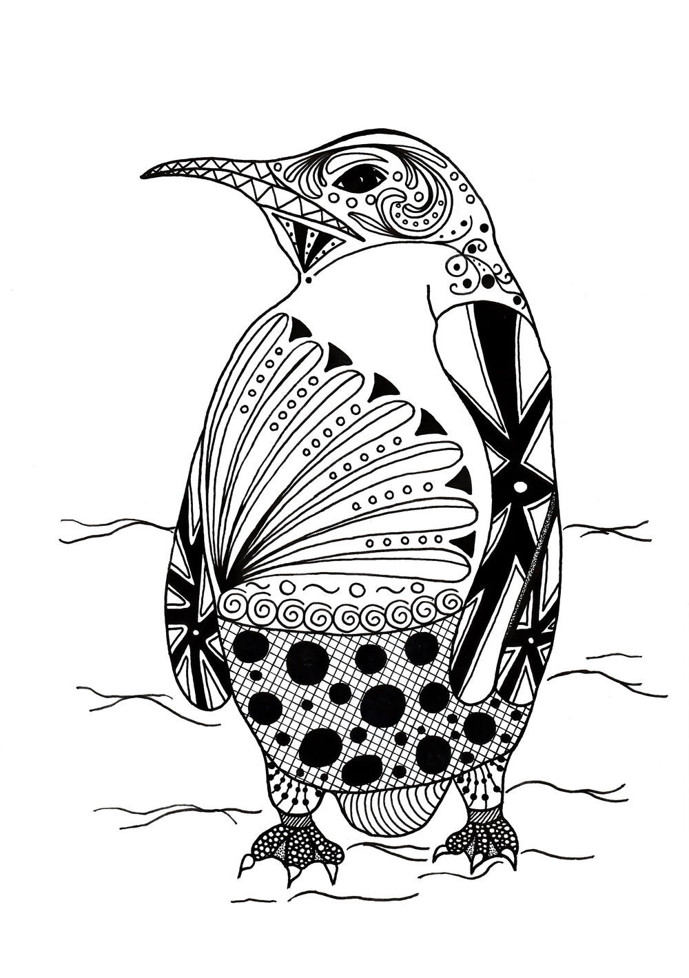 Adult Coloring Book Pictures
 Intricate Penguin Adult Coloring Page