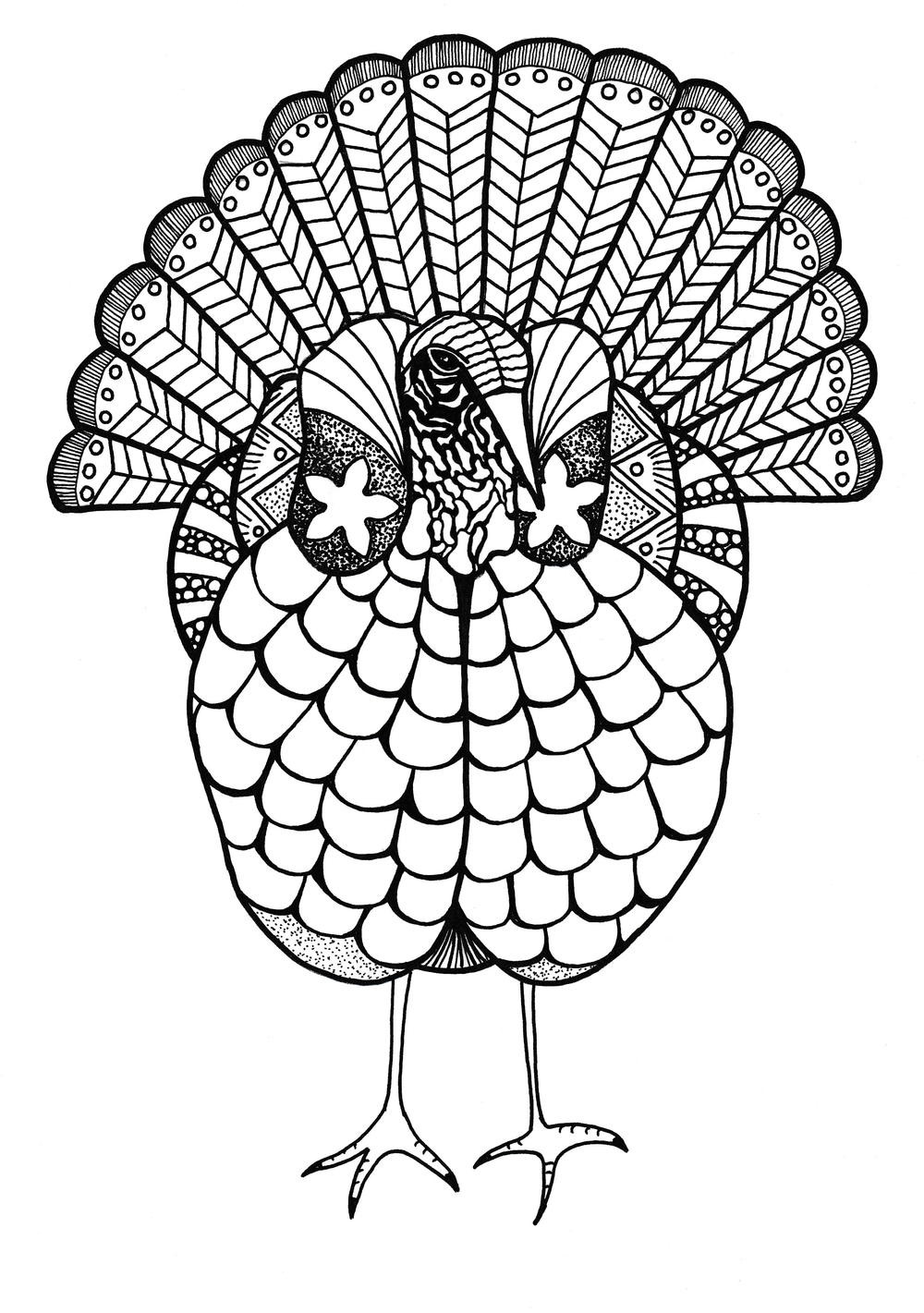 Adult Coloring Book Pictures
 Colorful Turkey Adult Coloring Page