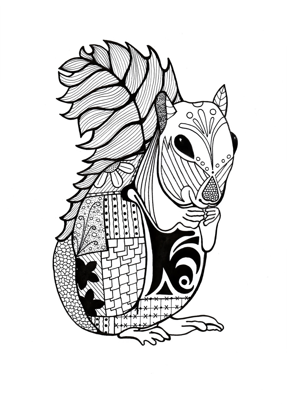 Adult Coloring Book Pictures
 Intricate Squirrel Adult Coloring Page