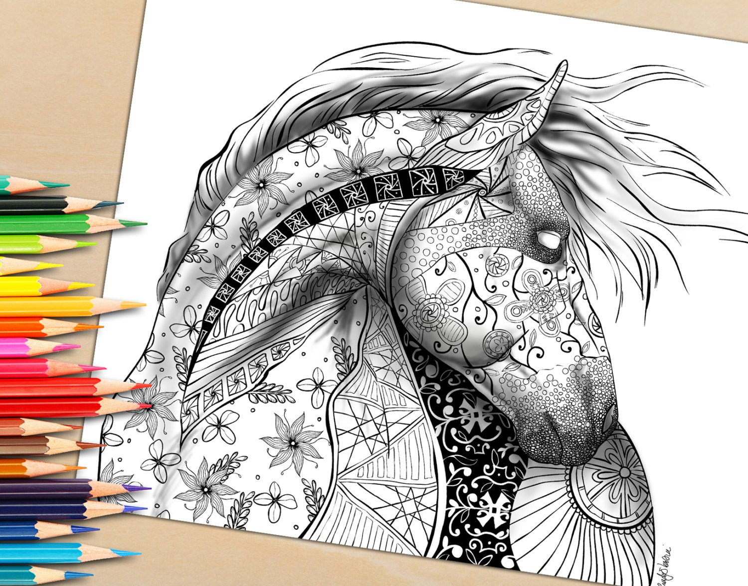 Adult Coloring Book Pictures
 Adult Coloring Page from Coloring Book For Adults Horse